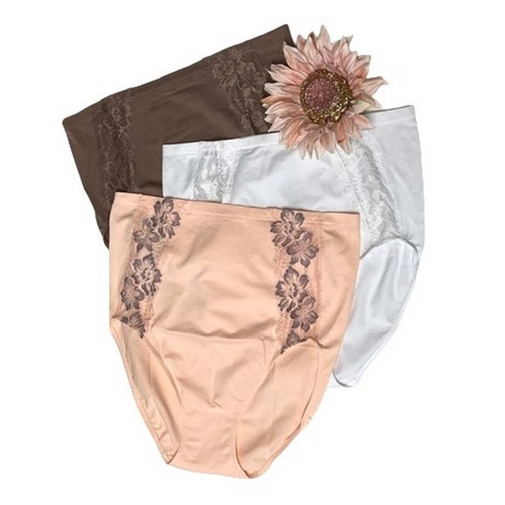 Rhonda Shear Lace Inset Brief Set 3 Pack X LARGE
